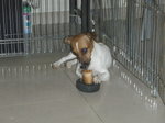 PA053232_resize