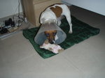 PA093255_resize