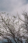 F1000027