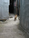 IMG_4061