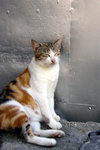 P1010367