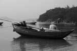 IMG_0692