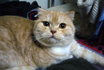 P1010510