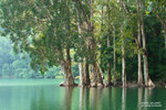 IMG_1115r