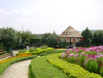 DSC09655