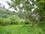 DSC00324