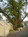 DSC06495