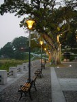 DSC06540