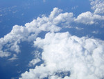 DSC08514