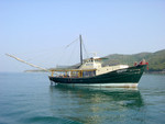 DSC00784