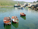 DSC00798