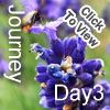 Day3 �C�O
