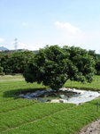 DSC02284