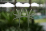 IMG_3656 - ڻ����, 12�I�X�N����o���ǳ�check out�F...Twinpalms��logo