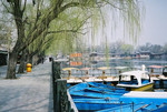 
Blue Boats