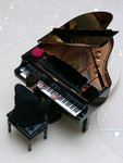 
The Pianist