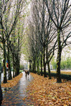 






A Sunday Stroll