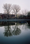 
Two Trees and a Boat