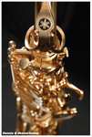 DSC_5080
