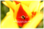 IMG_2024 copy