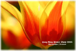 IMG_2028 copy