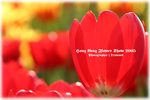 IMG_2074 copy