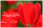 IMG_2079 copy