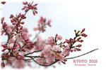IMG_35001 copy
