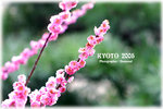 IMG_3559 copy