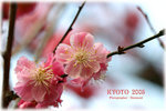 IMG_3578 copy
