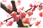 IMG_3581 copy