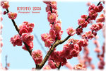 IMG_3588 copy