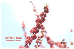 IMG_3590 copy