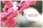 IMG_3692 copy