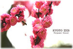 IMG_3695 copy