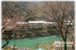 IMG_3942 copy