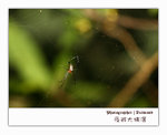 IMG_3380 copy