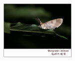 IMG_3422 copy