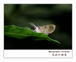 IMG_3430 copy