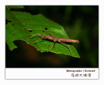 IMG_3501 copy