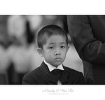 IMG_8222 copy