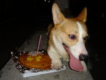 �ӳJ�|�Y�ڬJ�A��ӳ����ǭ�!!(��Y�աA�A�����ú����\�{�W�h�A��Ӵ����O?)