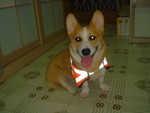 DSC01432