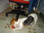 DSC02091