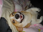 DSC02094