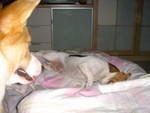 DSC02095