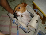 DSC02268