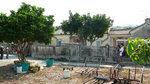 P1060446
