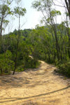 P1060466