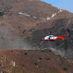 DSC_7219 SQ